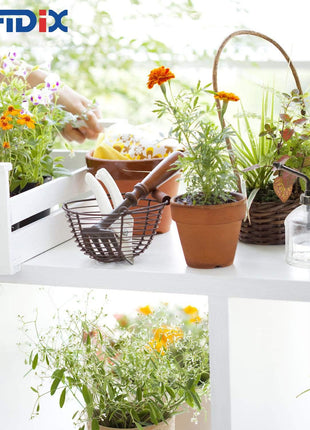 Transparent Glass Watering Spray Bottle,Plant Mister with Plastic Bronze Plastic Top Pump, Glass Small Watering Can for Indoor Potted Plant, Outdoor Indoor Garden, Plants, Cleaning Solutions